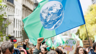 "L'inaction coûte des vies" : manifestation pour le climat à Bruxelles