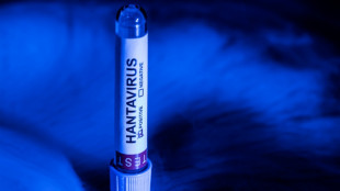 Hantavirus : un touriste ayant transit&eacute; en France test&eacute; positif, aujourd'hui isol&eacute; en Espagne (gouvernement fran&ccedil;ais)