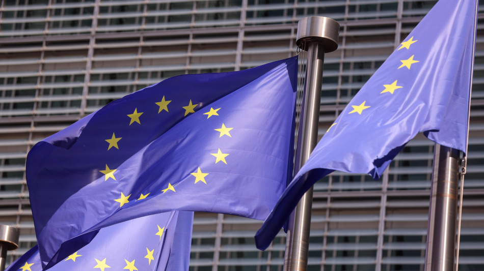 Ue, 'Meta e TikTok rafforzino monitoraggio e verifica dei fatti su crisi come a Ceuta'