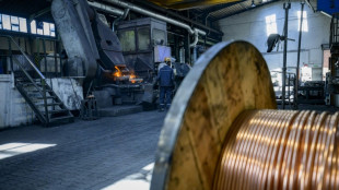 Germany's energy-hungry small firms struggle with green shift