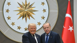 Trump berates NATO, praises Erdogan as summit starts