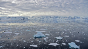 Antarctique: un immense iceberg se d&eacute;tache de la banquise