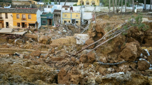 Un militar retirado se encargará de la reconstrucción tras las inundaciones en Valencia