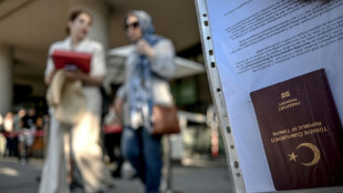 'Waiting like torture': Turks despair as Schengen visa delays mount