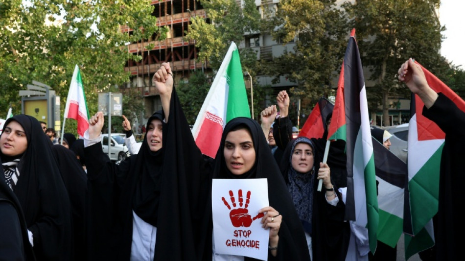 OMS pede abertura de corredores m&eacute;dicos para transferir pacientes de Gaza