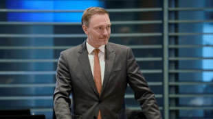 Lindner lehnt zus&auml;tzliches EU-F&ouml;rderprogramm f&uuml;r gr&uuml;ne Technologien ab