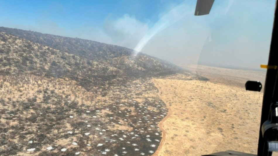 Namibia env&iacute;a militares para combatir un incendio en una importante reserva de animales
