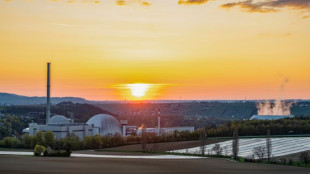 EnBW-Chef schl&auml;gt Akw-Standort Neckarwestheim f&uuml;r Bau von KI-Rechenzentrum vor