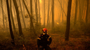 Greece wildfire expert says season 'one of the worst' in a decade
