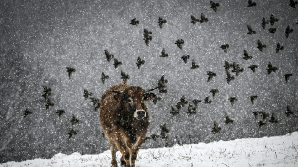 Neige, froid et vent : l'hiver s'invite en France t&ocirc;t dans la saison