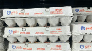 Kundin und Verk&auml;uferin liefern sich in B&auml;ckerei Schlacht mit hartgekochten Eiern