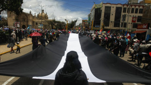 Presidenta de Per&uacute; lamenta rechazo del Congreso de anticipar comicios ante protestas sin cese