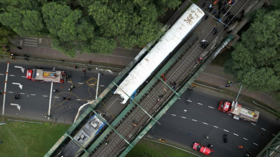Collision entre deux trains &agrave; Buenos Aires, une trentaine de bless&eacute;s