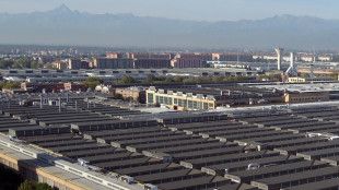 Cappellano, target 100.000 unit&agrave; per la 500 ibrida a Mirafiori? Dipende dal mercato