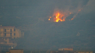 Abi, proroga 12 mesi a sospensione mutui per incendi in Sicilia
