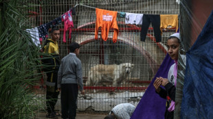Animals go hungry at war-torn Gaza zoo