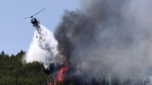 Incendies dans le Var: "ma&icirc;trise relative" du feu, inqui&eacute;tude pour les prochains jours