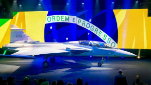 Brazil may purchase 20 more fighter jets from Sweden