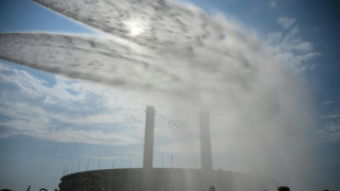 Alemania registr&oacute; miles de muertes adicionales durante la ola de calor de junio