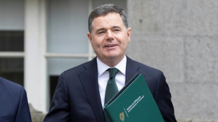 Ire Donohoe als Chef der Eurogruppe best&auml;tigt