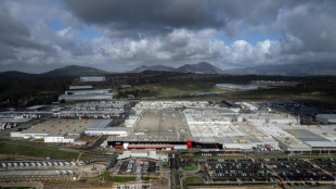 Under US pressure, Mexico mulling 50% tariff on Chinese cars