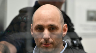 L'affaire Jubillar, "paroxysme du f&eacute;minicide", plaide une partie civile