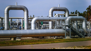 Il prezzo del gas apre in rialzo a 45,20 euro