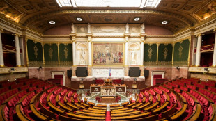 Budget 2025: les d&eacute;put&eacute;s favorables &agrave; une extension de la contribution des foyers ais&eacute;s