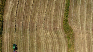 Preise landwirtschaftlicher Produkte legen weiter kr&auml;ftig zu - vor allem f&uuml;r Getreide