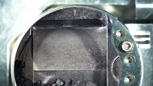 Des fragments d'ast&eacute;ro&iuml;de rec&egrave;lent une des briques de la vie