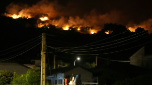 Les incendies font rage en France et en Espagne : pr&egrave;s de 270.000 "r&eacute;fugi&eacute;s du feu" &eacute;vacu&eacute;s