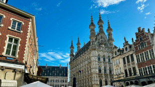 Belgisches L&ouml;wen wird eine von drei europ&auml;ischen Kulturhauptst&auml;dten 2030