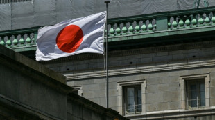 Japan outlaws flag desecration despite critics