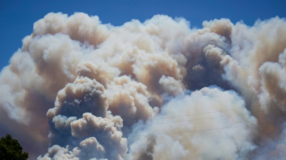 Al menos 11 fallecidos en el incendio forestal en el sur de Espa&ntilde;a, seg&uacute;n un nuevo balance
