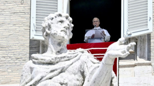 Papa pede abertura de corredores humanit&aacute;rios no Sud&atilde;o