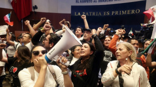 Mexique: les manifestants envahissent le S&eacute;nat et retardent l'explosive r&eacute;forme judiciaire