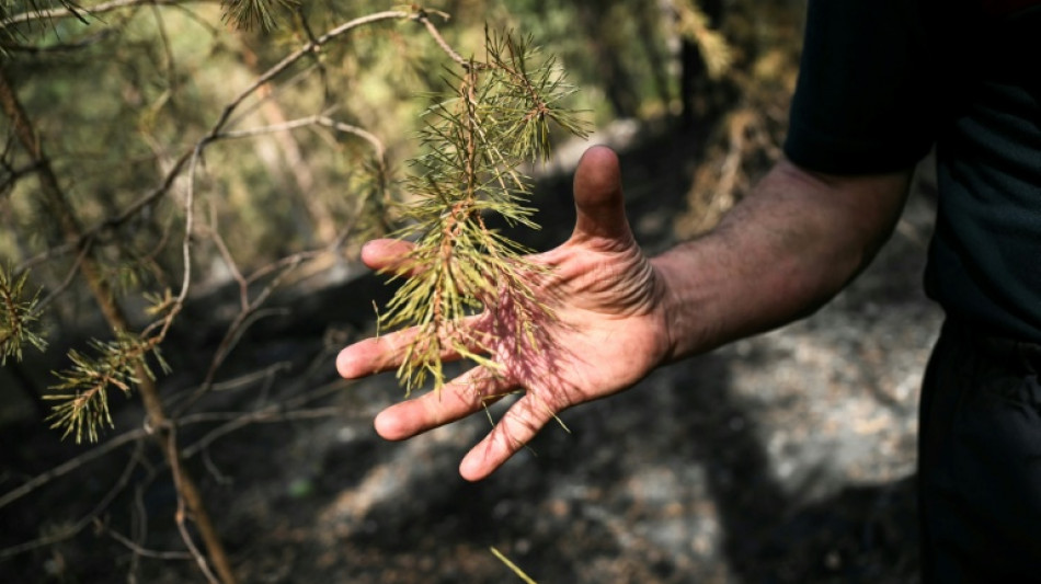 Macron promete "tolerancia cero" contra los pir&oacute;manos tras la ola de incendios en Francia