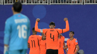 Orange wave: Dutch World Cup dream gathers pace  