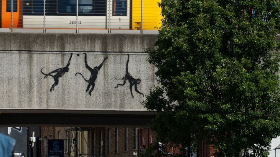 Tre scimpanz&eacute; su un ponte ferroviario, Banksy continua il safari