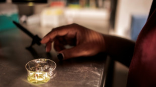 Cient&iacute;ficos logran crear &oacute;vulos fecundables a partir de c&eacute;lulas de la piel