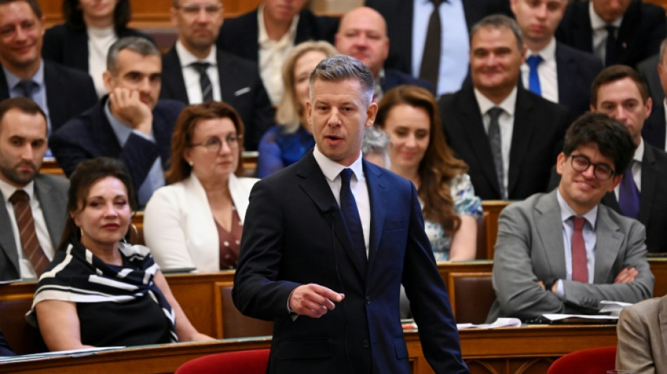 Magyar's blitz against Orban's Hungary 'mafia' gathers pace