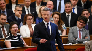 Magyar's blitz against Orban's Hungary 'mafia' gathers pace
