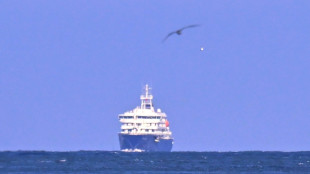 La OMS declara el fin del brote de hantavirus vinculado al crucero que parti&oacute; de Argentina