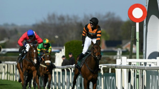 Nick Rockett storms to victory in the 'Mullins' Grand National
