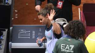 Internazionali: Paolini dopo ko 'devo stare attenta a non cadere in negativit&agrave;'