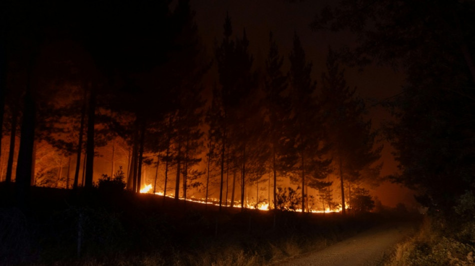 Chile lucha contra incendios que se cobran 20 vidas y avanzan hacia el sur del pa&iacute;s