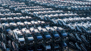 EU-Kommission gibt Entscheidung &uuml;ber Strafz&ouml;lle auf E-Autos aus China bekannt