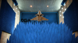 Toujours plus de radars sol-air, un d&eacute;fi pour les avions de combat