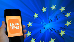 La UE acusa al gigante del comercio electrónico Temu de vender productos "ilegales"