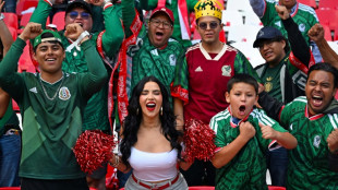 M&eacute;xico lan&ccedil;a campanha contra grito discriminat&oacute;rio nos est&aacute;dios da Copa do Mundo